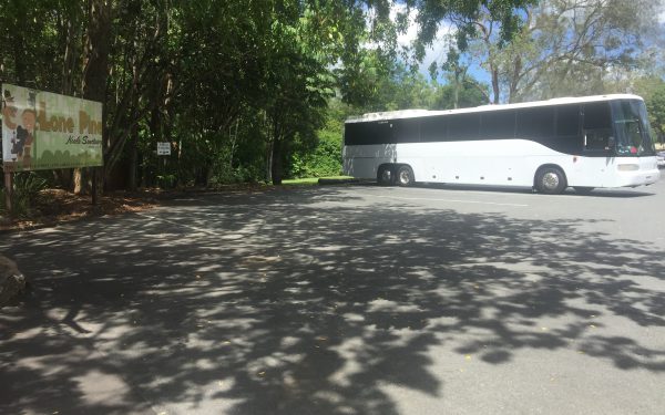 Lone Pine Koala Sanctuary