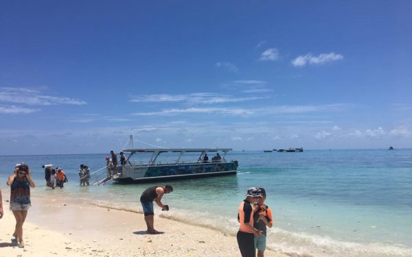 Lady Musgrave Island