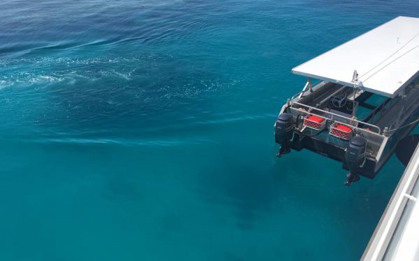 Lady Musgrave Island